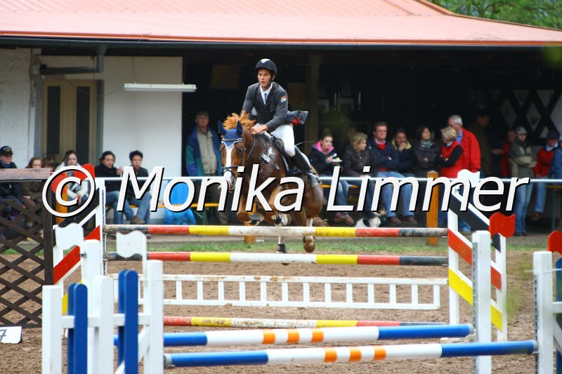 005L5430_Felix_Spring M mit Stechen.JPG